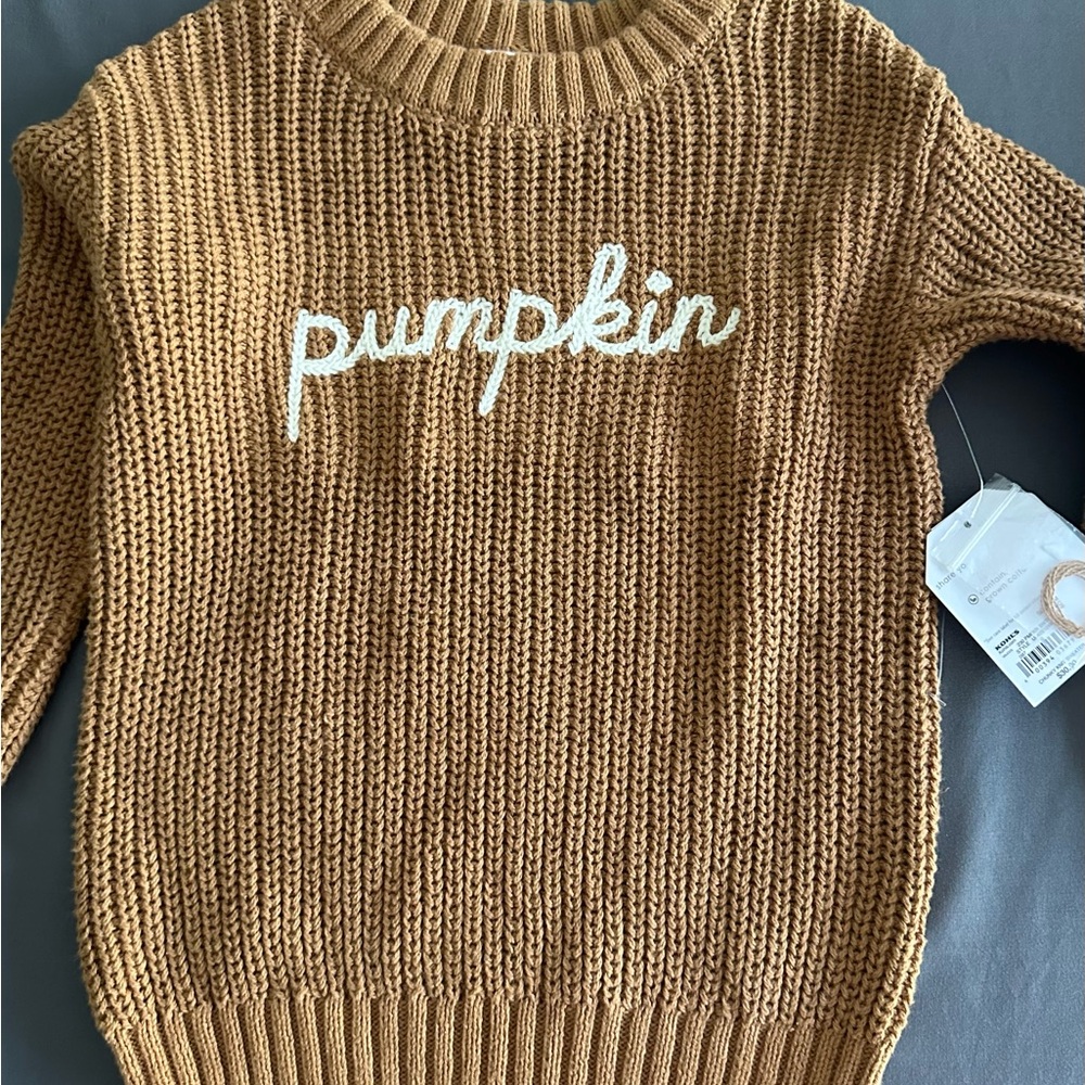 Little Co Brown Chunky Knit Pumpkin Sweater NWT